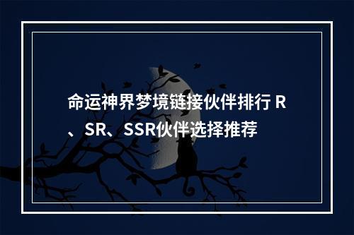 命运神界梦境链接伙伴排行 R、SR、SSR伙伴选择推荐