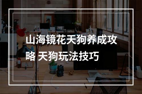 山海镜花天狗养成攻略 天狗玩法技巧