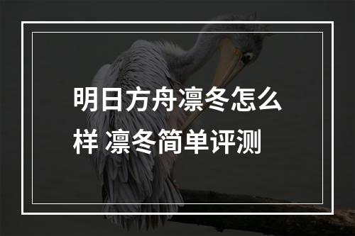 明日方舟凛冬怎么样 凛冬简单评测