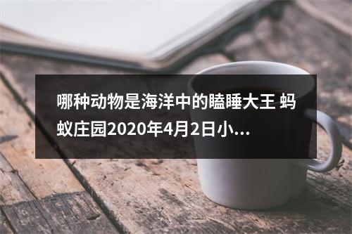 哪种动物是海洋中的瞌睡大王 蚂蚁庄园2020年4月2日小课堂答案