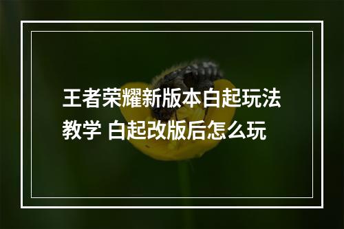 王者荣耀新版本白起玩法教学 白起改版后怎么玩