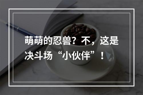 萌萌的忍兽？不，这是决斗场“小伙伴”！