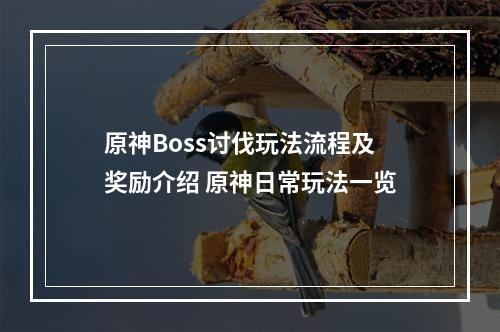 原神Boss讨伐玩法流程及奖励介绍 原神日常玩法一览