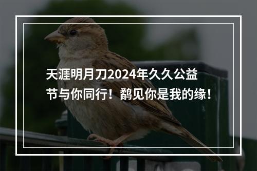 天涯明月刀2024年久久公益节与你同行！鹬见你是我的缘！