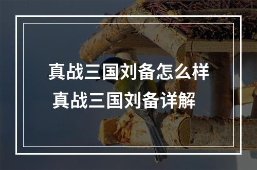 真战三国刘备怎么样 真战三国刘备详解