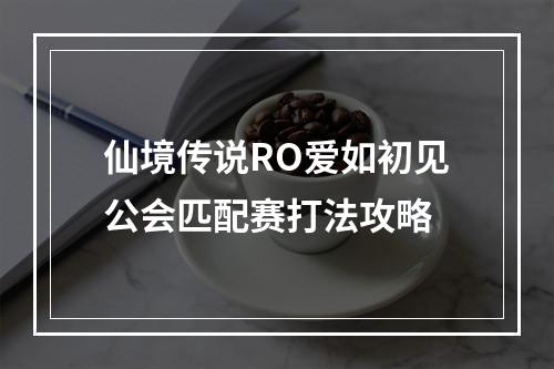 仙境传说RO爱如初见公会匹配赛打法攻略