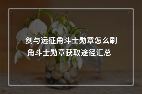 剑与远征角斗士勋章怎么刷 角斗士勋章获取途径汇总