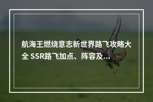 航海王燃烧意志新世界路飞攻略大全 SSR路飞加点、阵容及技能搭配指南