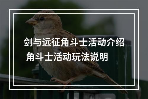 剑与远征角斗士活动介绍 角斗士活动玩法说明