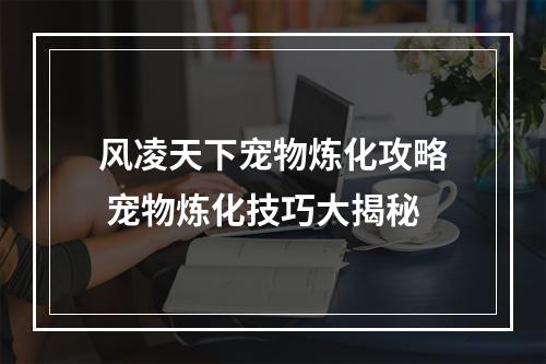 风凌天下宠物炼化攻略 宠物炼化技巧大揭秘