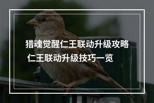 猎魂觉醒仁王联动升级攻略 仁王联动升级技巧一览