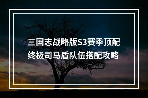 三国志战略版S3赛季顶配终极司马盾队伍搭配攻略