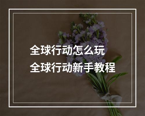 全球行动怎么玩 全球行动新手教程