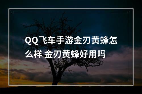 QQ飞车手游金刃黄蜂怎么样 金刃黄蜂好用吗