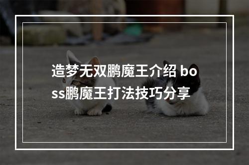 造梦无双鹏魔王介绍 boss鹏魔王打法技巧分享