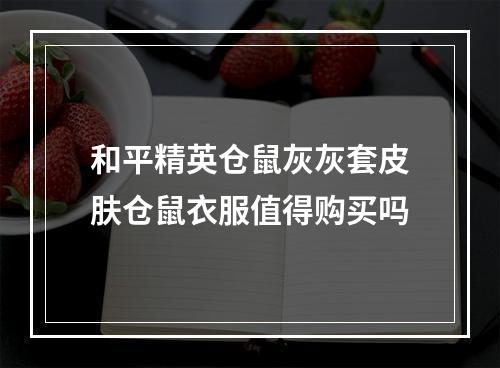 和平精英仓鼠灰灰套皮肤仓鼠衣服值得购买吗