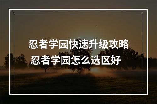 忍者学园快速升级攻略 忍者学园怎么选区好