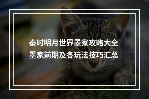 秦时明月世界墨家攻略大全 墨家前期及各玩法技巧汇总