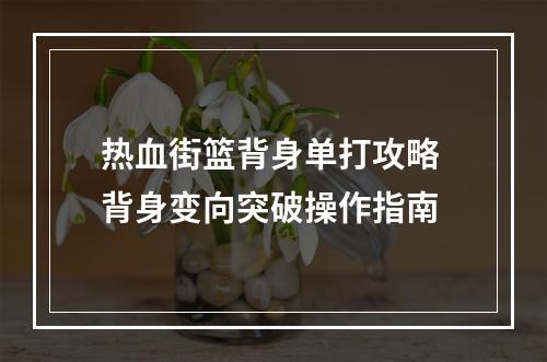 热血街篮背身单打攻略 背身变向突破操作指南