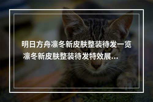 明日方舟凛冬新皮肤整装待发一览 凛冬新皮肤整装待发特效展示