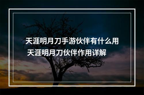 天涯明月刀手游伙伴有什么用 天涯明月刀伙伴作用详解