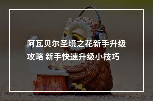 阿瓦贝尔圣境之花新手升级攻略 新手快速升级小技巧