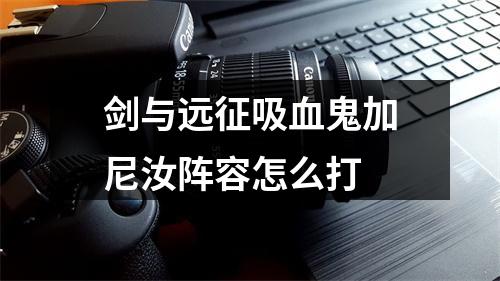 剑与远征吸血鬼加尼汝阵容怎么打