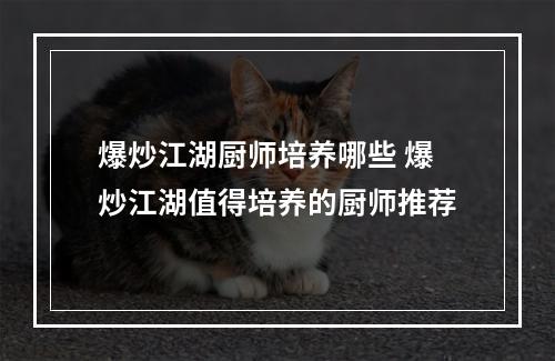 爆炒江湖厨师培养哪些 爆炒江湖值得培养的厨师推荐