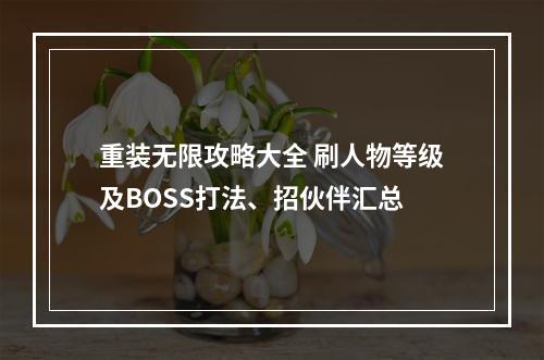 重装无限攻略大全 刷人物等级及BOSS打法、招伙伴汇总