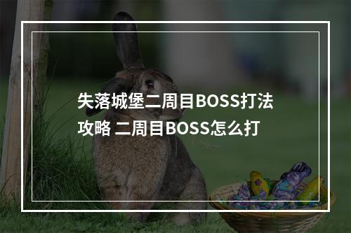 失落城堡二周目BOSS打法攻略 二周目BOSS怎么打