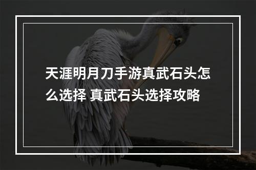 天涯明月刀手游真武石头怎么选择 真武石头选择攻略