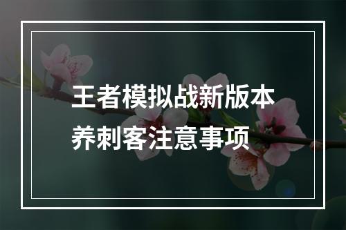 王者模拟战新版本养刺客注意事项