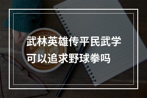 武林英雄传平民武学可以追求野球拳吗