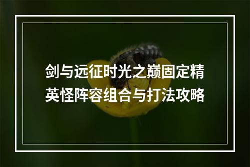 剑与远征时光之巅固定精英怪阵容组合与打法攻略