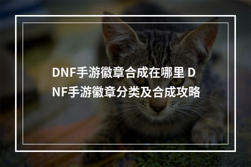 DNF手游徽章合成在哪里 DNF手游徽章分类及合成攻略