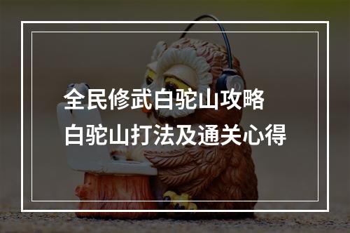 全民修武白驼山攻略 白驼山打法及通关心得