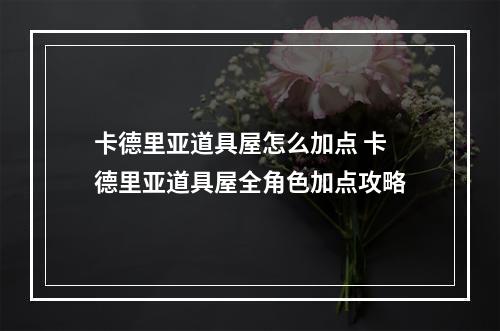 卡德里亚道具屋怎么加点 卡德里亚道具屋全角色加点攻略