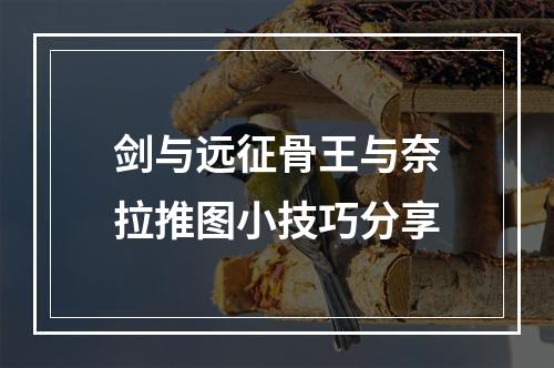 剑与远征骨王与奈拉推图小技巧分享