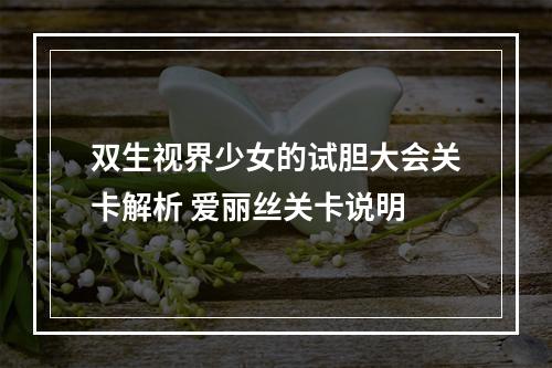 双生视界少女的试胆大会关卡解析 爱丽丝关卡说明