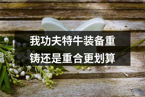 我功夫特牛装备重铸还是重合更划算