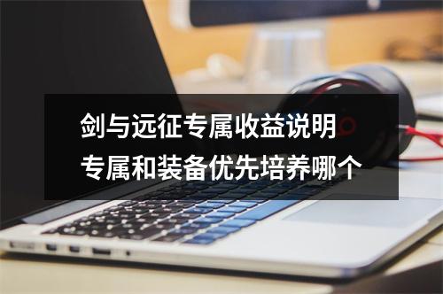 剑与远征专属收益说明 专属和装备优先培养哪个