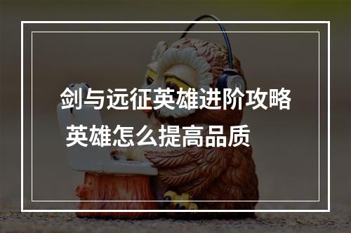 剑与远征英雄进阶攻略 英雄怎么提高品质