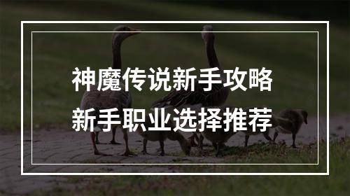 神魔传说新手攻略 新手职业选择推荐