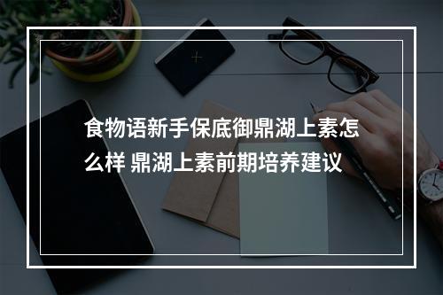 食物语新手保底御鼎湖上素怎么样 鼎湖上素前期培养建议