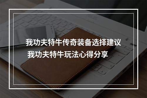 我功夫特牛传奇装备选择建议 我功夫特牛玩法心得分享