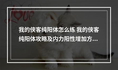 我的侠客纯阳体怎么练 我的侠客纯阳体攻略及内力阳性增加方法