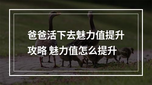 爸爸活下去魅力值提升攻略 魅力值怎么提升