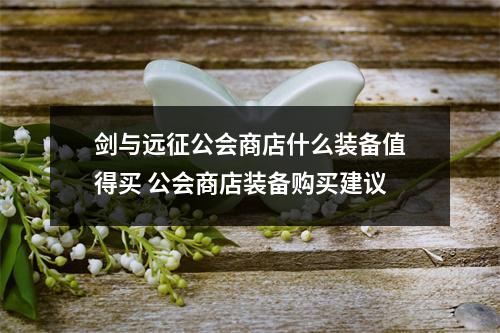 剑与远征公会商店什么装备值得买 公会商店装备购买建议