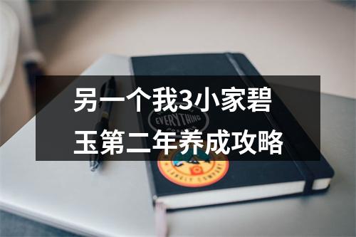 另一个我3小家碧玉第二年养成攻略