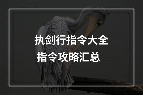 执剑行指令大全 指令攻略汇总